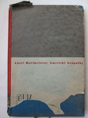 Americké houpačky