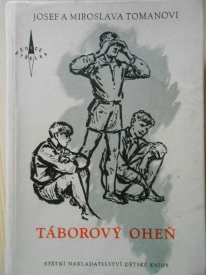 Táborový oheň