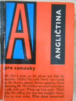 Angličtina pro samouky
