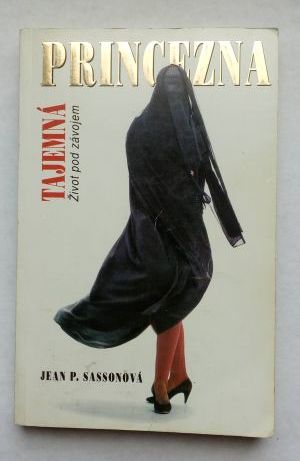 Tajemná princezna