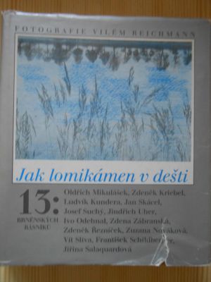 Jak lomikámen v dešti