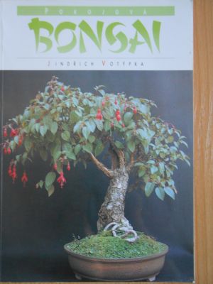 Pokojová Bonsai