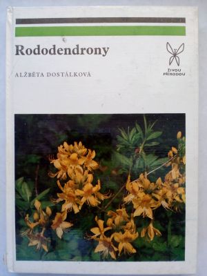 Rododendrony