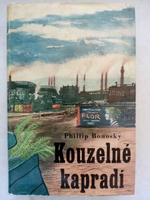 Kouzelné kapradí