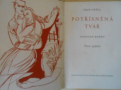 Potřísněná tvář