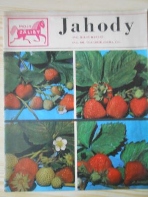 Jahody