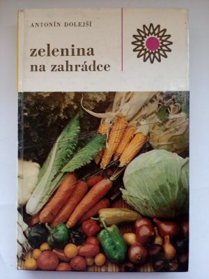 Zelenina na zahrádce