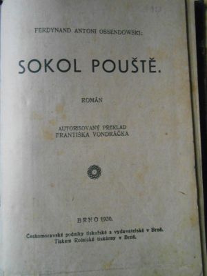 Sokol pouště