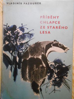 Příběhy chlapce ze starého lesa