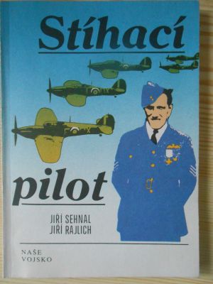 Stíhací pilot