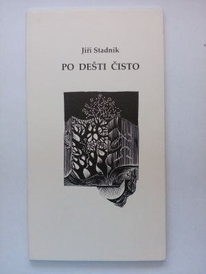 Po dešti čisto