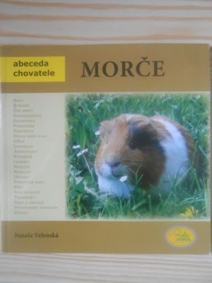Morče