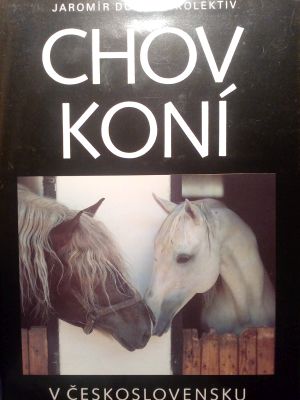 Chov koní