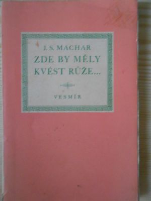 Zde by měly kvést růže...