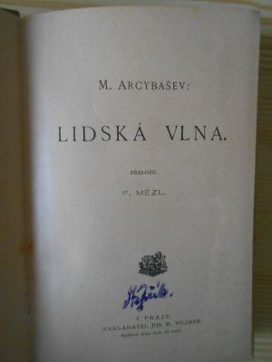 Lidská vlna