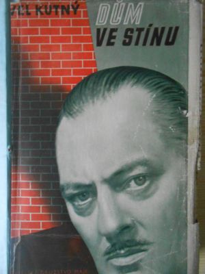 Dům ve stínu