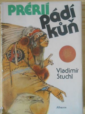 Prérií pádí kůň