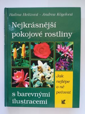 Nejkrásnější pokojové rostliny