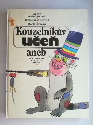 Kouzelníkův učeň 