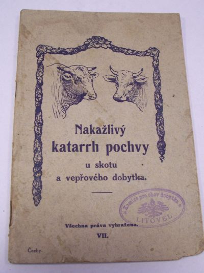 Nakažlivý katarrh pochvy u skotu a vepřového dobytka