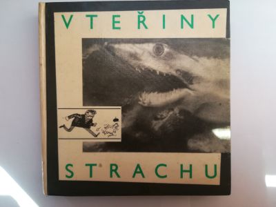 Vteřiny strachu
