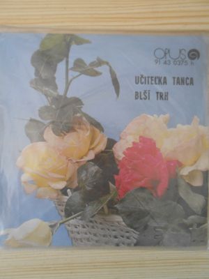 Učitel'ka tanca + Bleší trh