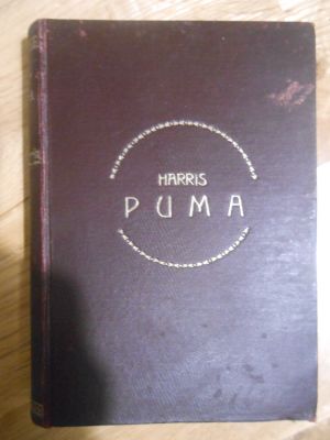 Puma