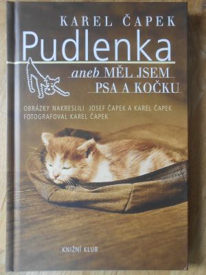 Pudlenka