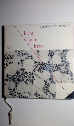 Kam teče krev