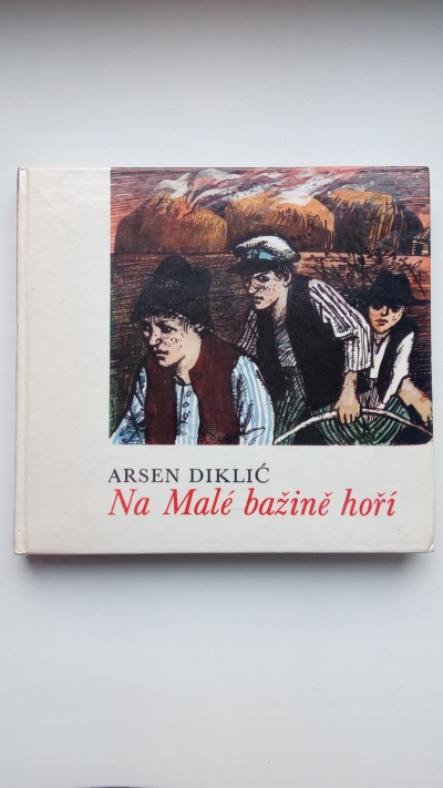 Na Malé bažině hoří