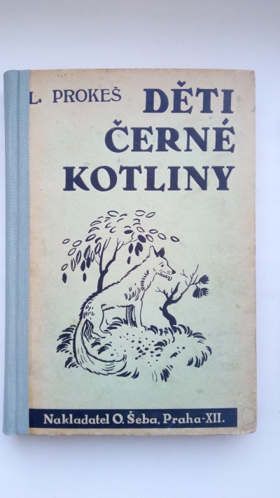 Děti černé kotliny
