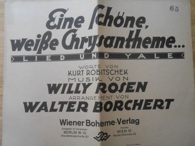 Eine Schöne Weisse Chrysantheme