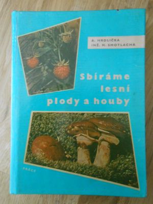 Sbíráme lesní plody a houby