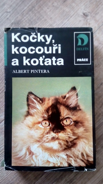Kočky, kocouři a koťata