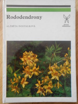 Rododendrony