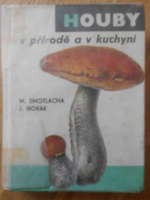 Houby v přírodě a v kuchyni