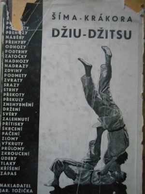 Džiu-džitsu