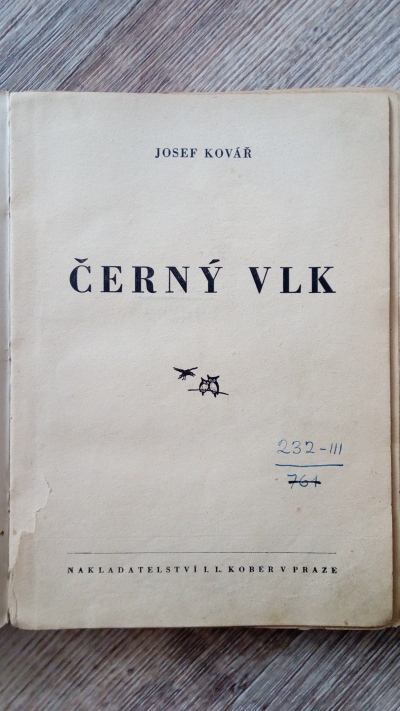 Černý vlk