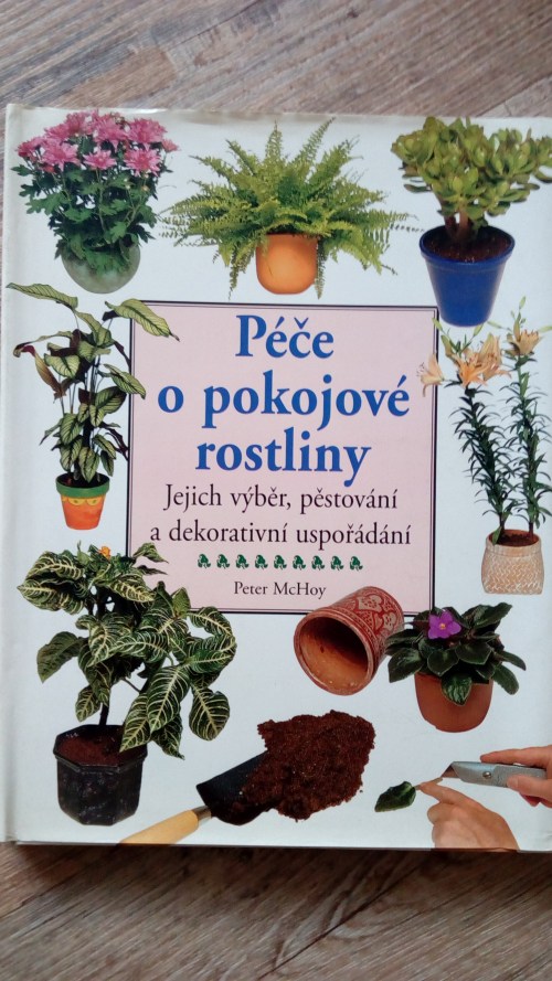 Péče o pokojové rostliny
