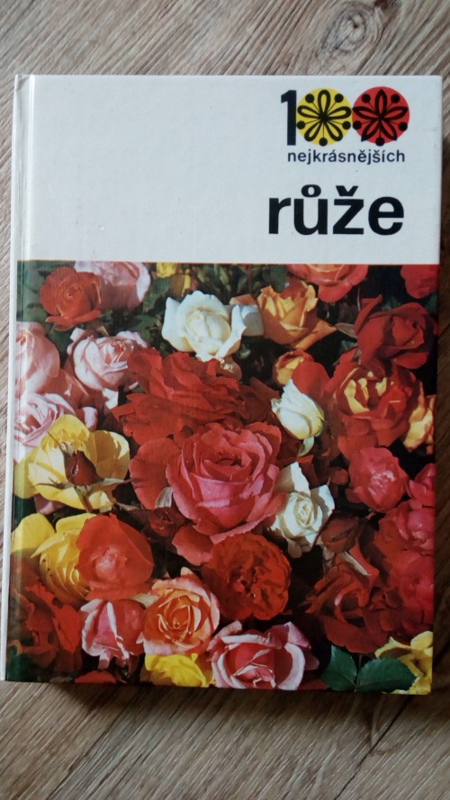 Růže
