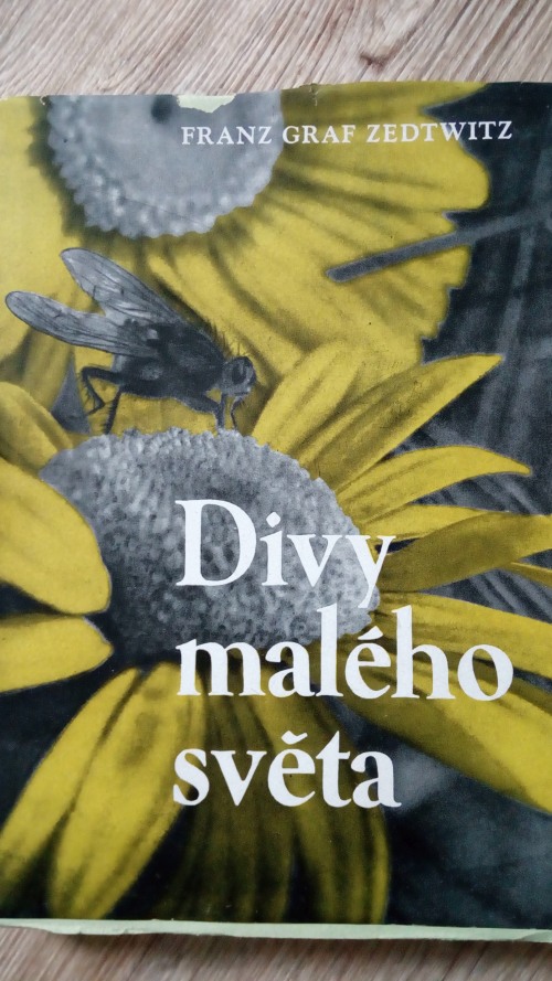 Divy malého světa