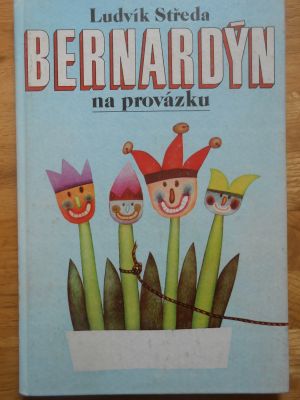 Bernardýn na provázku