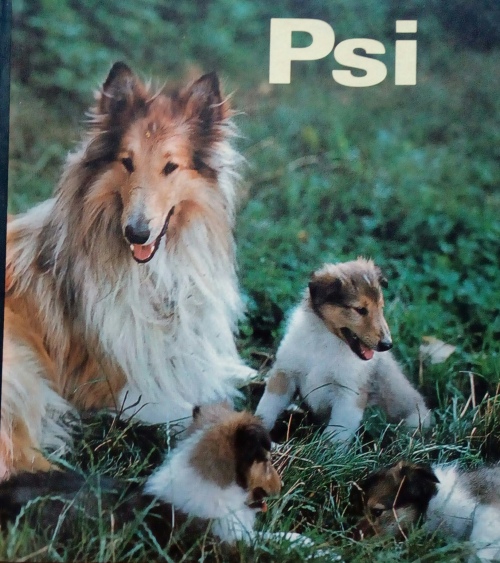 Psi