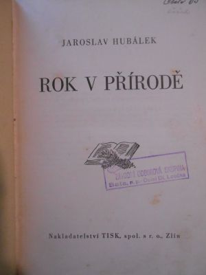 Rok v přírodě