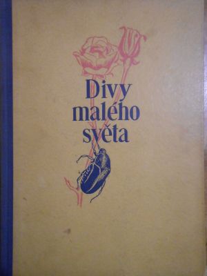 Divy malého světa