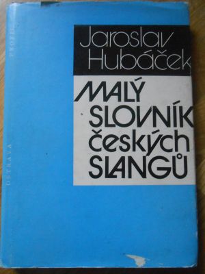 Malý slovník českých slangů