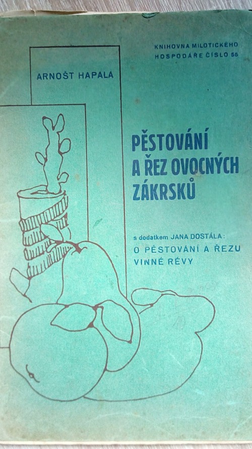 Pěstování a řez ovocných zákrsků
