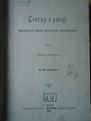 Květiny v pokoji