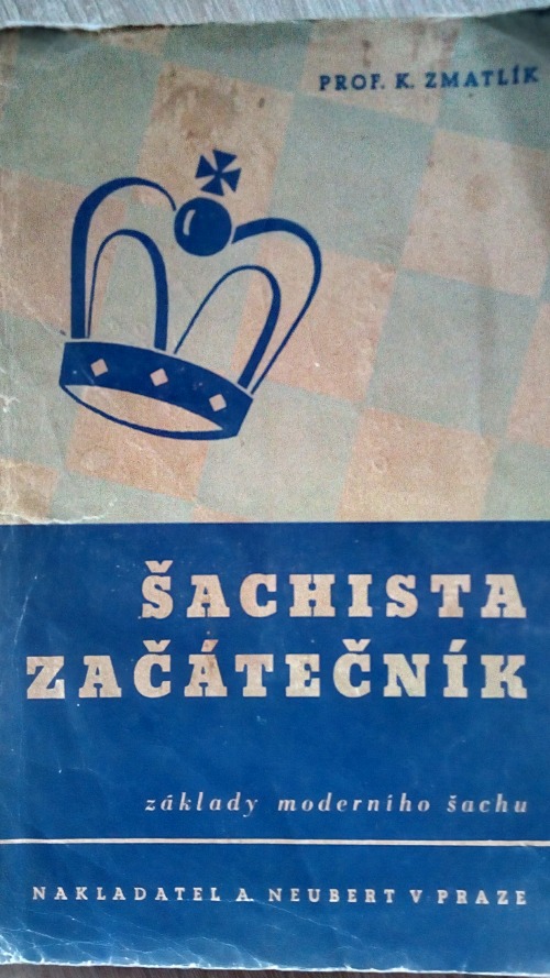 Šachista začátečník