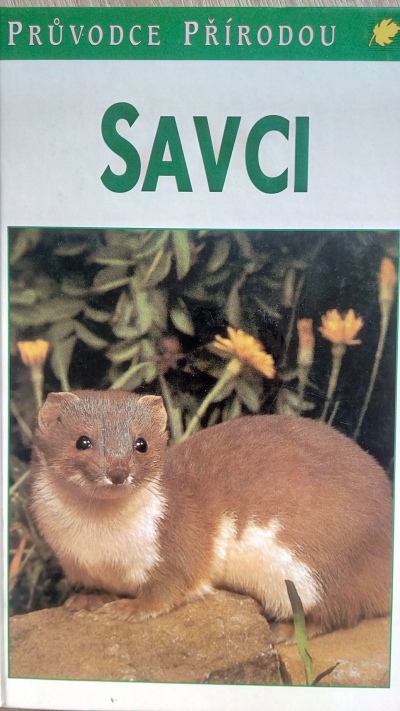 Savci